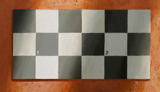 visual illusion with a chess board